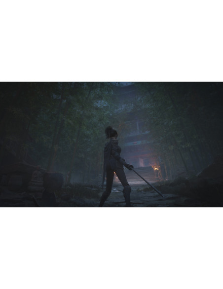 WUCHANG: Fallen Feathers Day 1 Edition - PS5 - Imagen 8