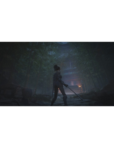 WUCHANG: Fallen Feathers Standard Edition - PS5 - Imagen 7