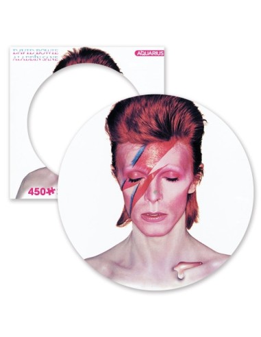 PUZLE PORTADA DISCO ALADDIN SANE 450 PIEZAS - Imagen 1